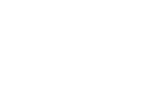 naildi_logo_503222